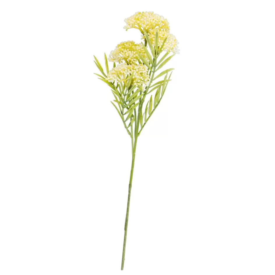 CASA BERRY Branche D'herbes Jaune Discount