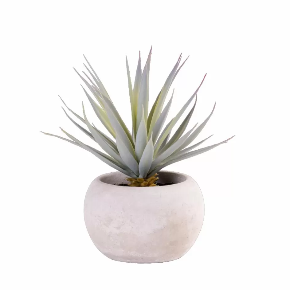 CASA CEMENT Plante Artificielle Gris Discount