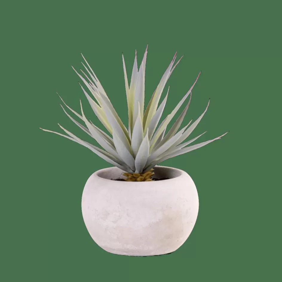 CASA CEMENT Plante Grasse Artificielle Gris Cheap