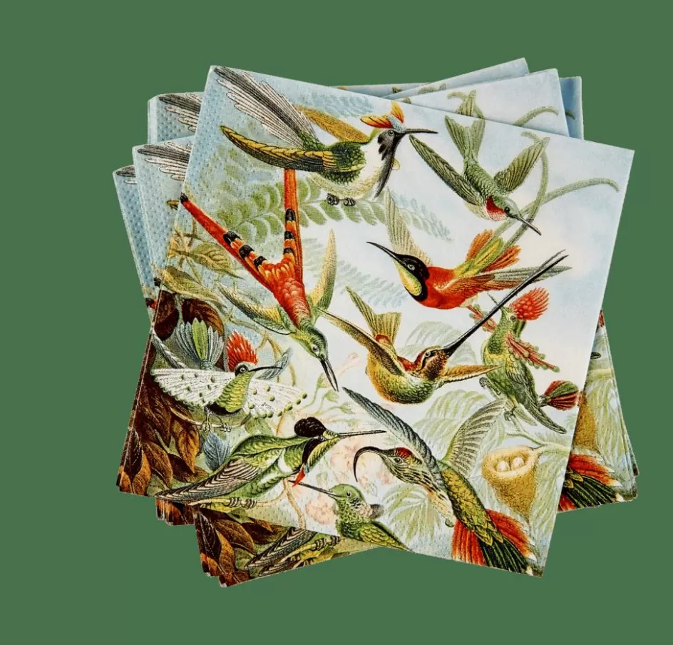CASA COLIBRI Set De 20 Serviettes Multicolore Best