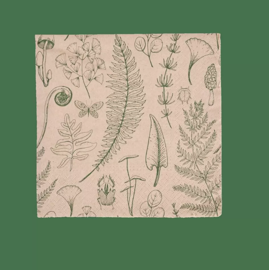 CASA ECO NATURE Set De 20 Serviettes Multicolore Store