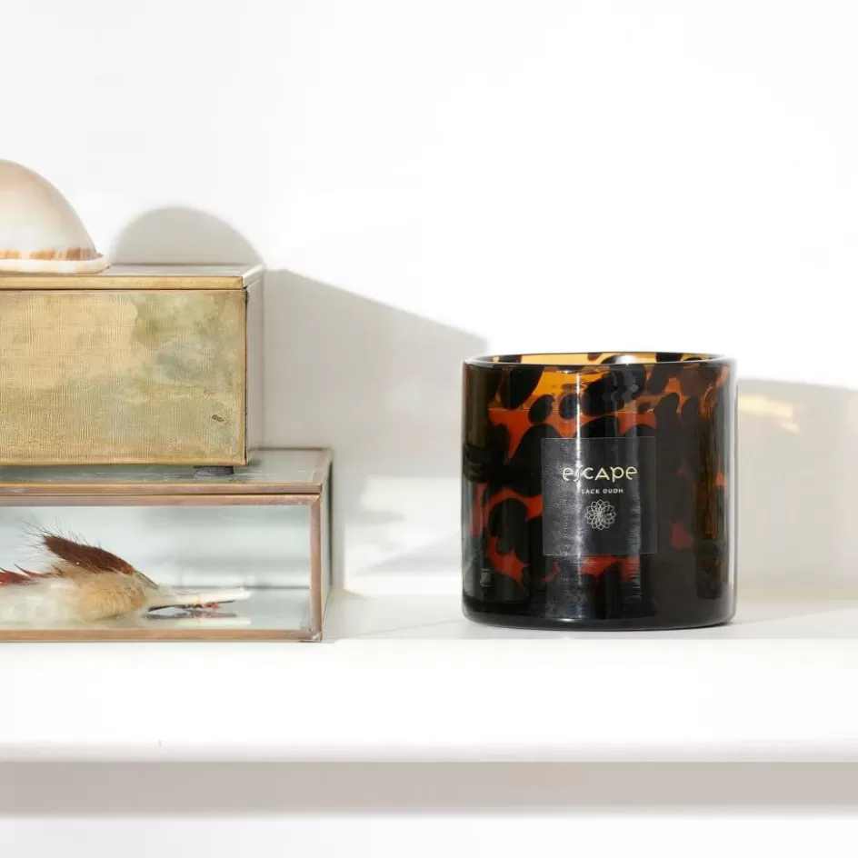 CASA ESCAPE BLACK OUDH Bougie Parfumée Brun, Ocre, Multicolore Sale