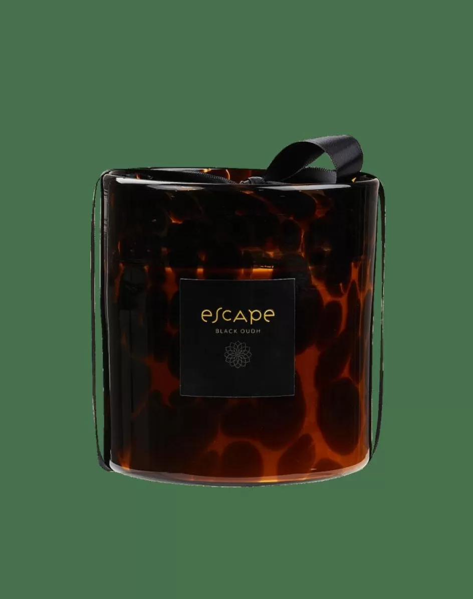 CASA ESCAPE BLACK OUDH Bougie Parfumée Brun, Ocre, Multicolore Sale