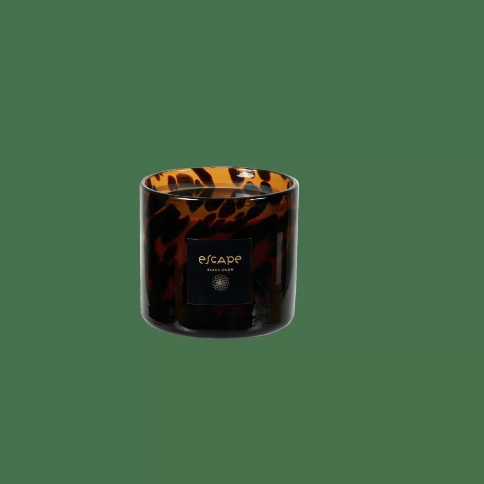 CASA ESCAPE BLACK OUDH Bougie Parfumée Dans Un Verre Noir, Brun, Multicolore Online