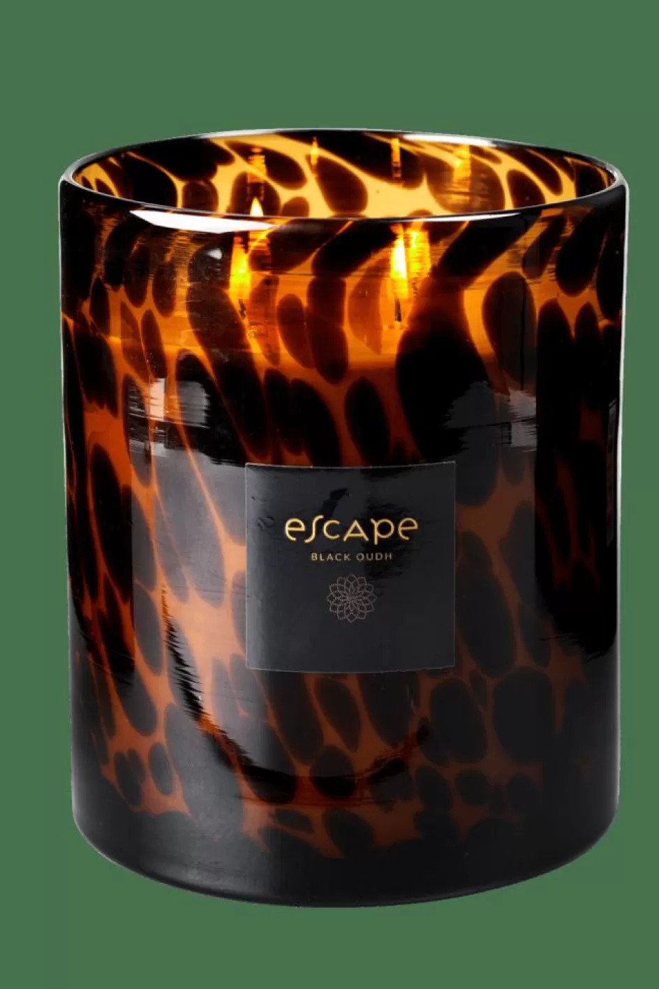CASA ESCAPE BLACK OUDH Bougie Parfumée Dans Un Verre Noir, Brun, Ocre Outlet