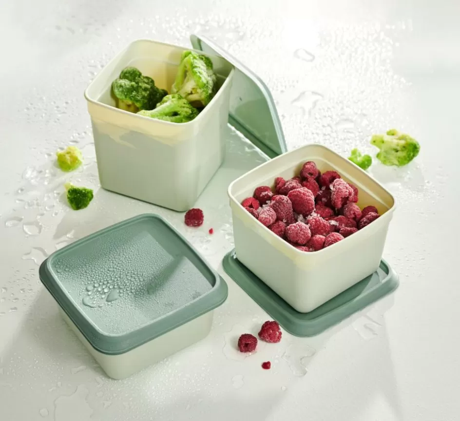 CASA FREEZER Boîtes Congélation Set De 10 Menthe, Vert Foncé Online