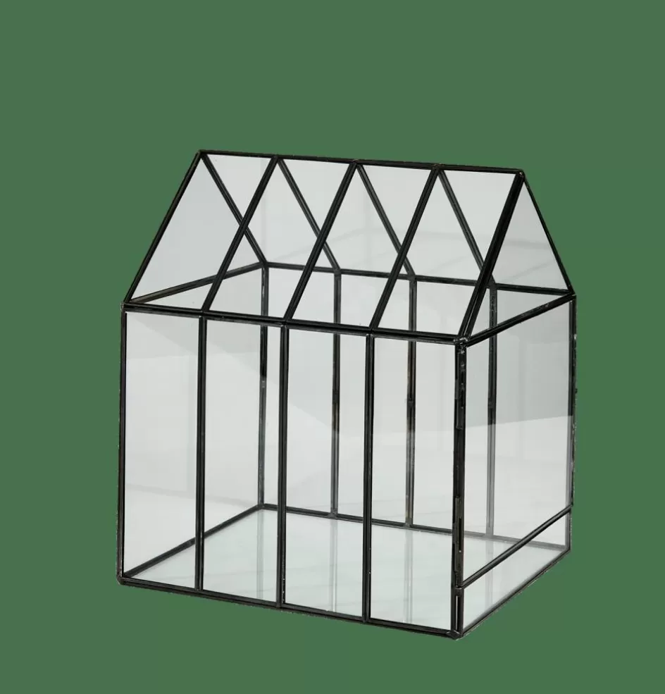 CASA GREENHOUSE Terrarium Transparent Best Sale