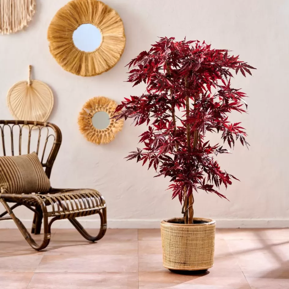 CASA MAPLE Plante Artificielle Diverses Couleurs New