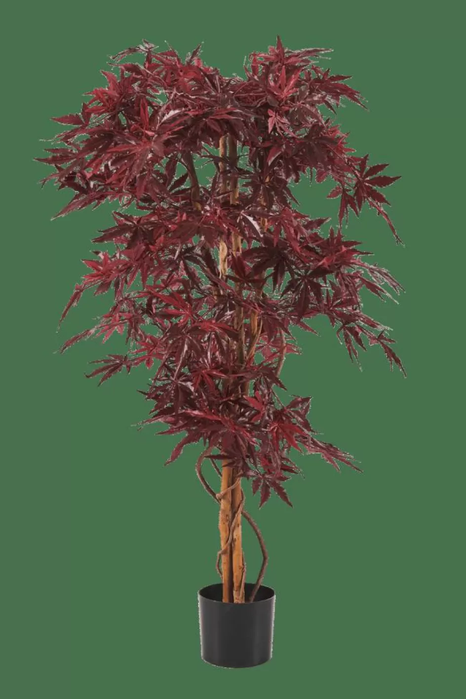 CASA MAPLE Plante Artificielle Diverses Couleurs New