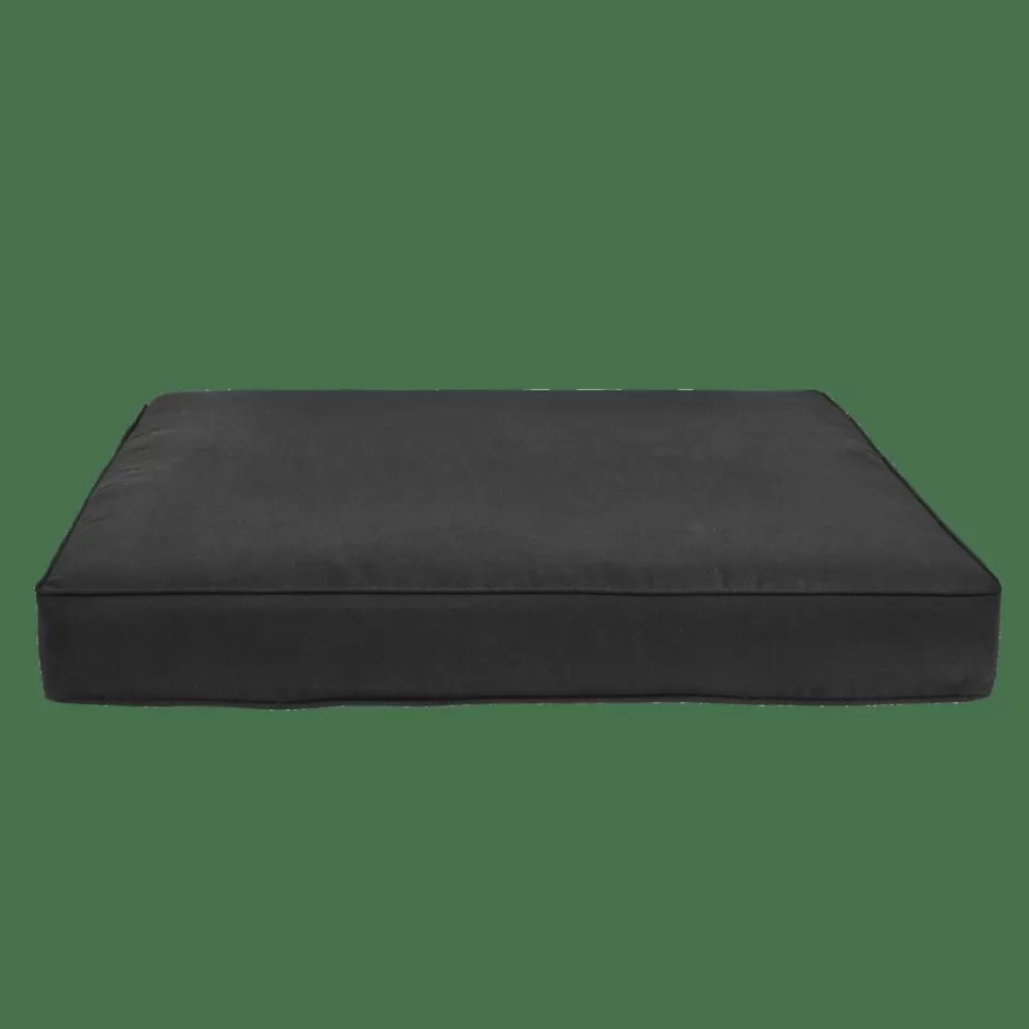 CASA PAULETTA Coussin Noir Cheap