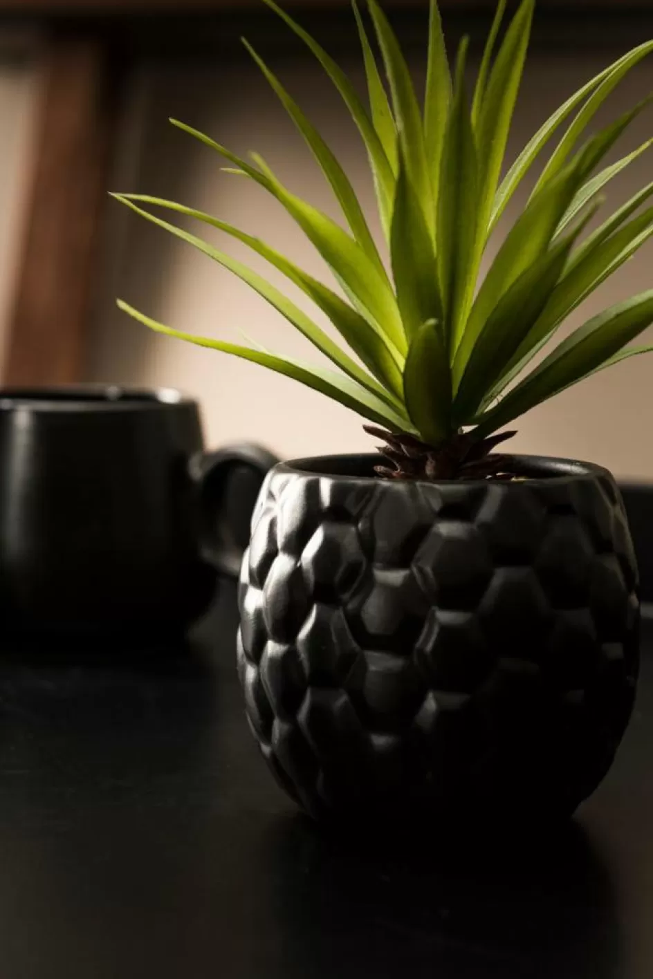 CASA PINA Plante D'ananas En Pot Noir Flash Sale