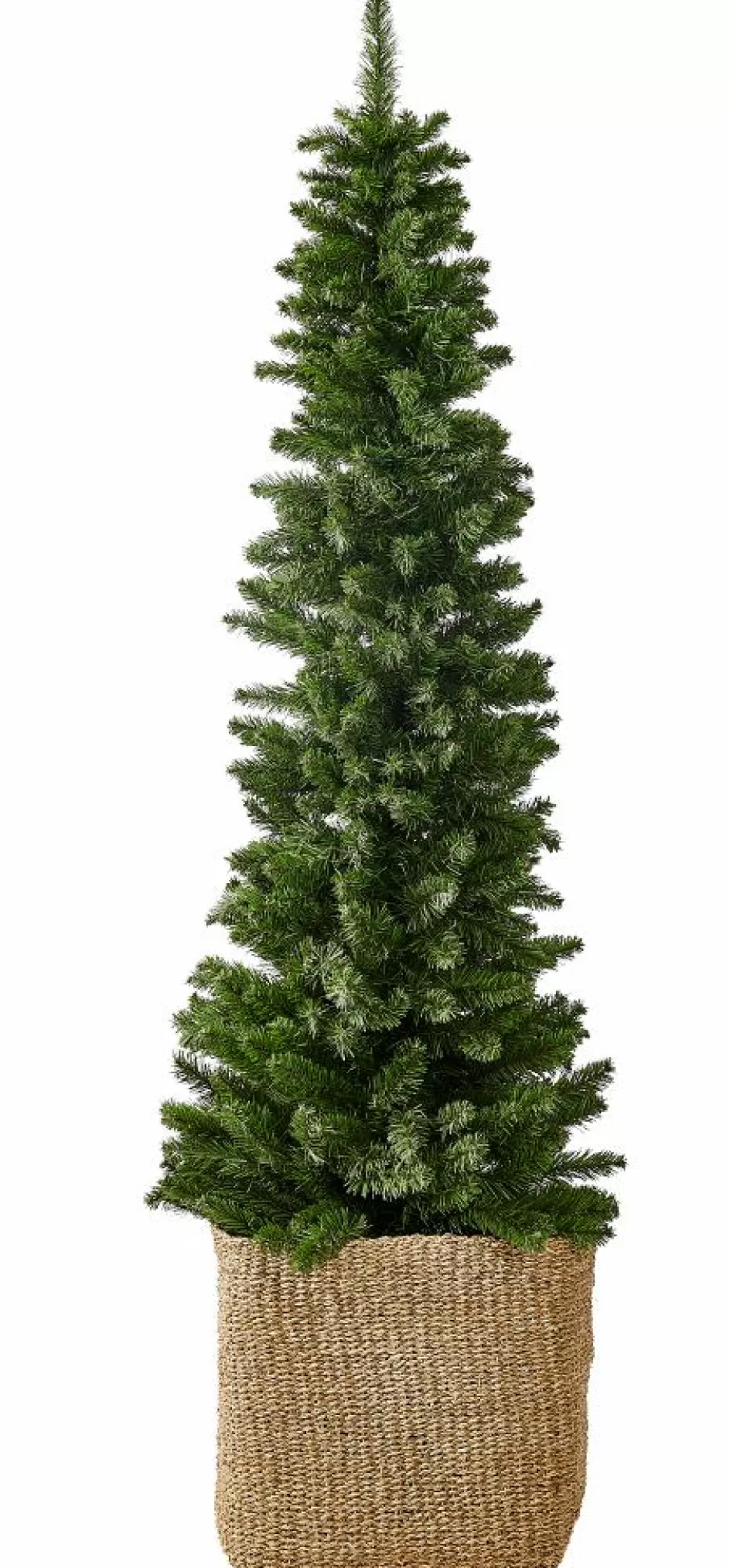 CASA PINUS Branche De Noël Rouge, Vert Discount