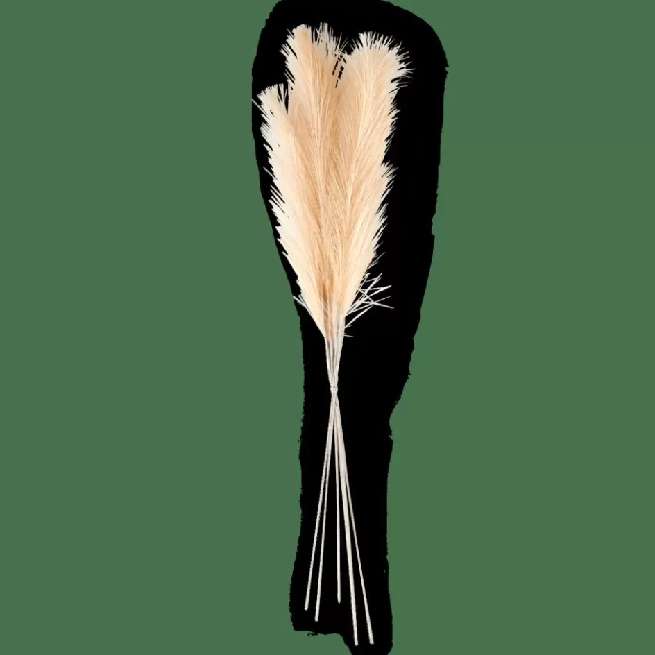 CASA PLUME Plumes Décoratives Crème Flash Sale