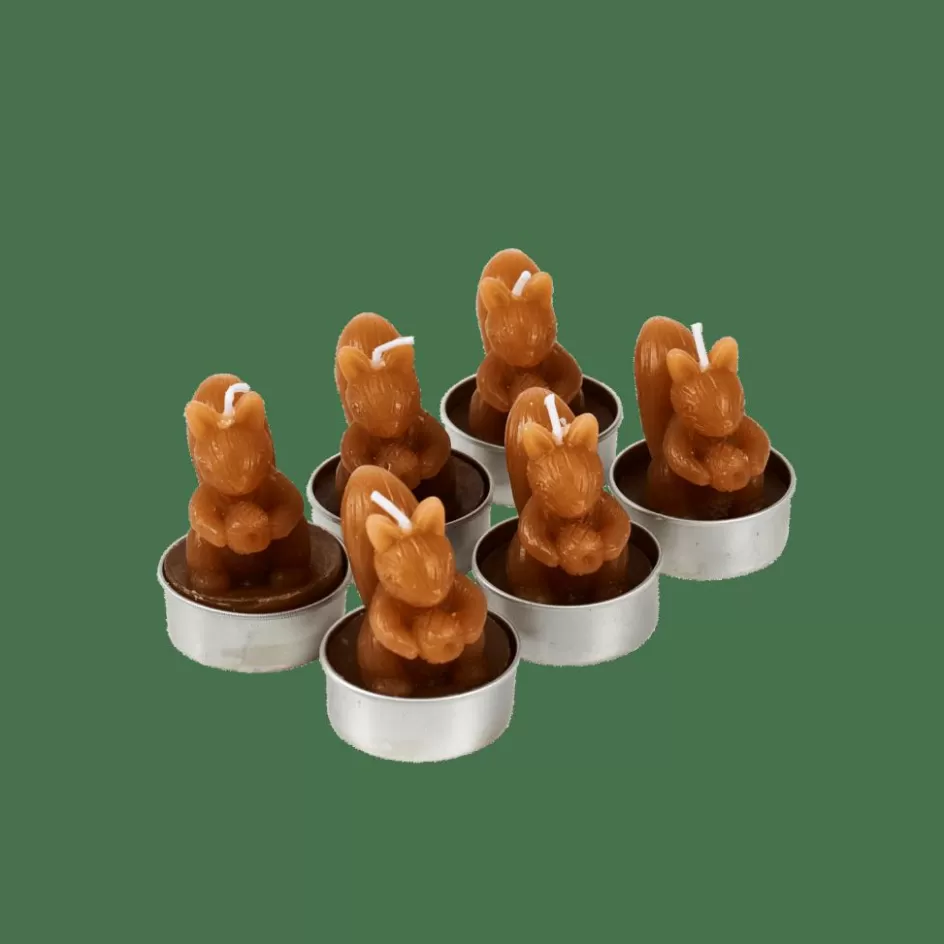 CASA SQUIRREL Bougies Chauffe-plat Set De 6 Brun Cheap