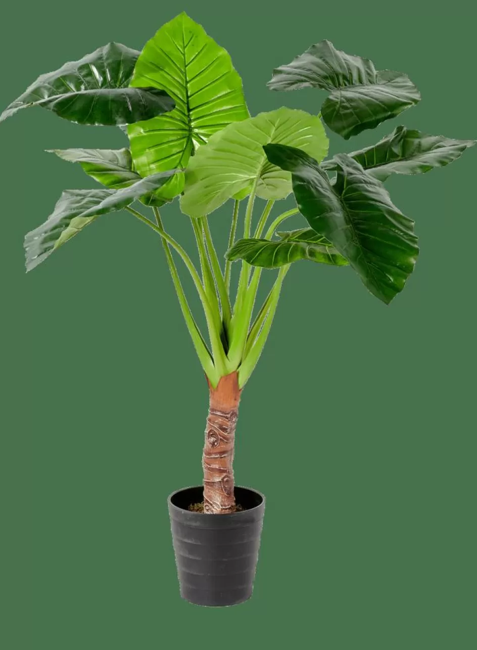 CASA TARO Plante Artificielle Arum Vert Cheap