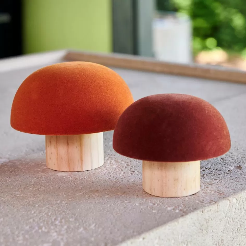 CASA VELVET Champignon Naturel, Multicolore Online